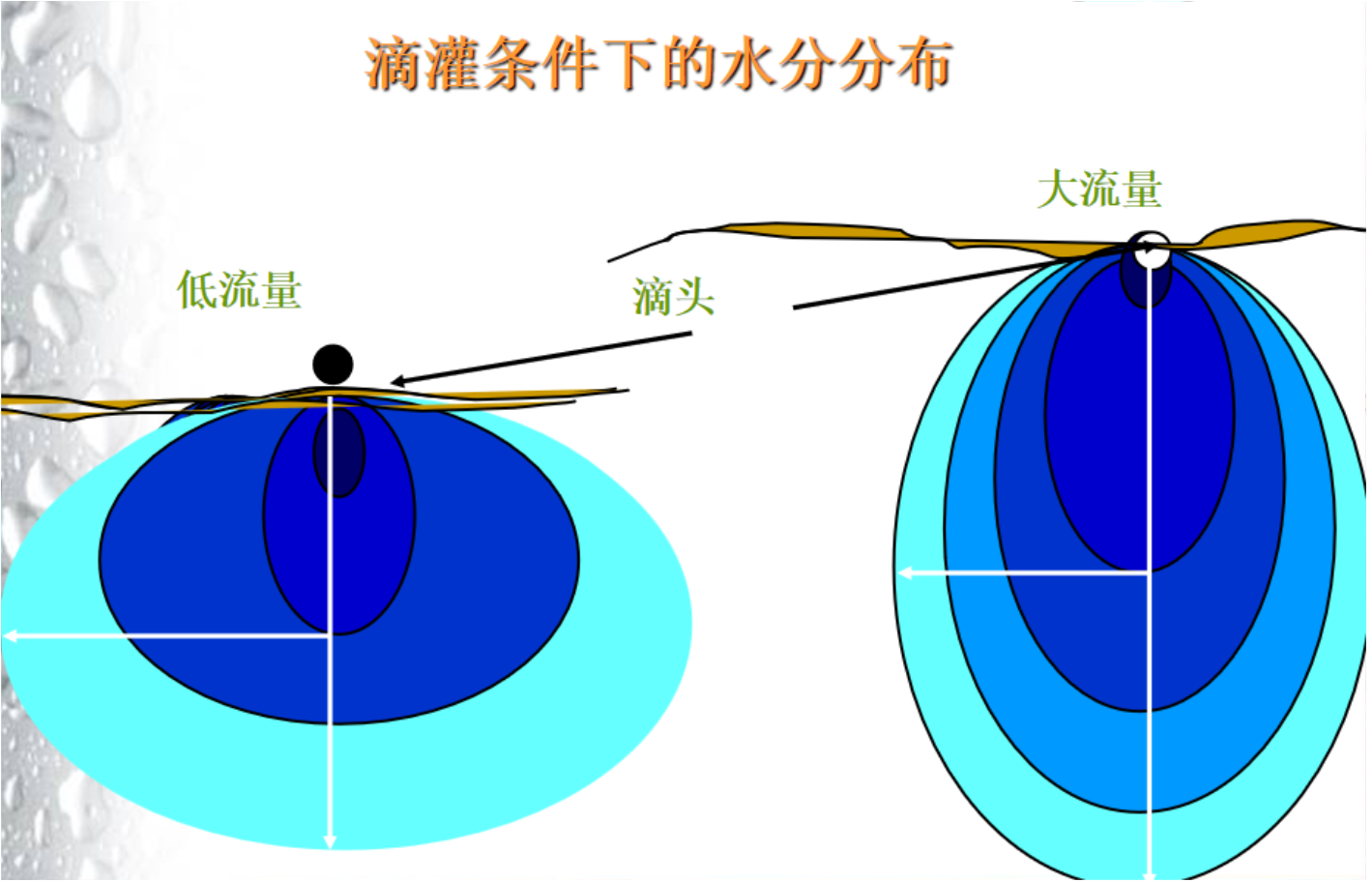 屏幕截图 2025-01-15 082802.png