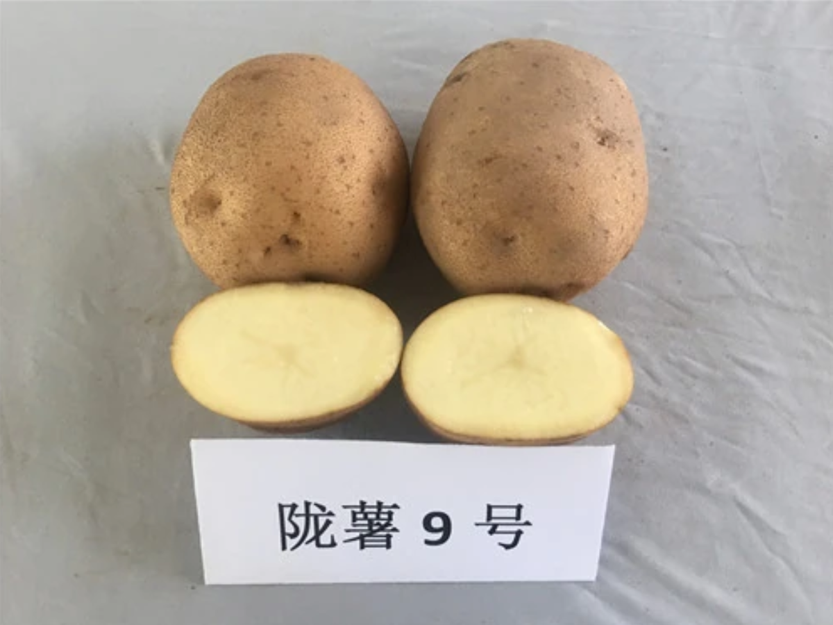 屏幕截图 2025-05-02 161000.png