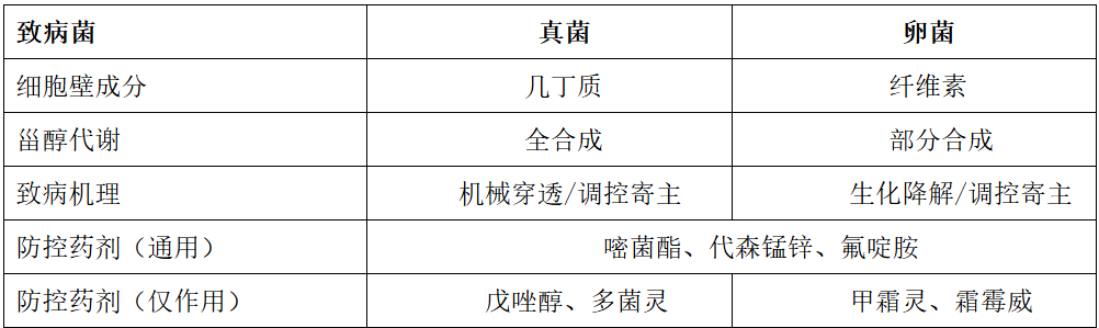 屏幕截图 2025-05-26 201554.png
