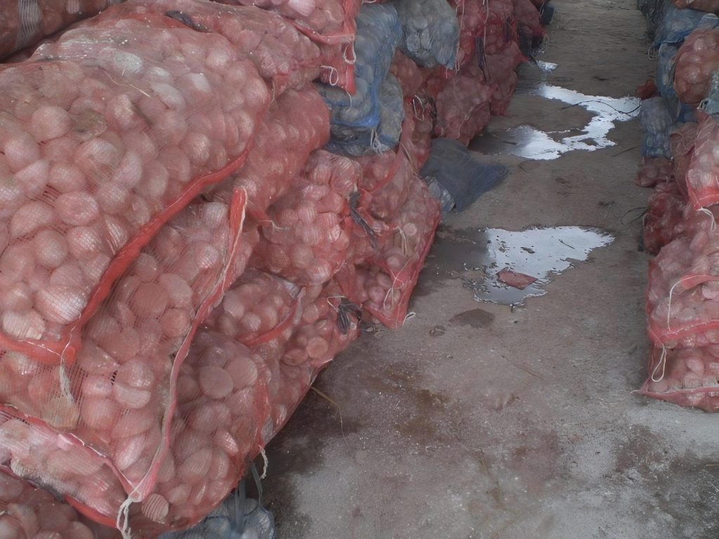 1763621238629912.jpg PA250363(1).jpg