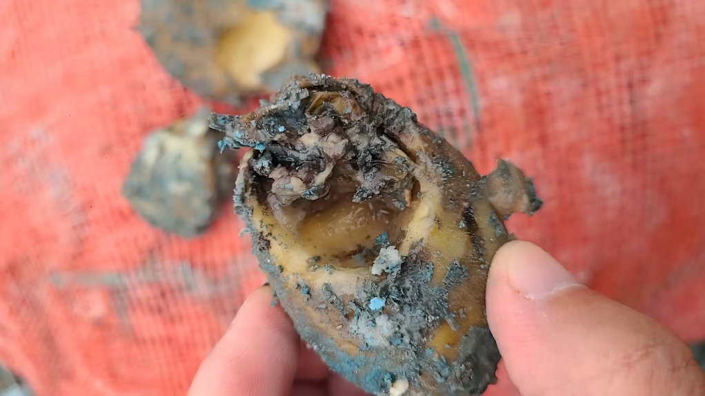 1763621676615323.jpg 111111(1).jpg