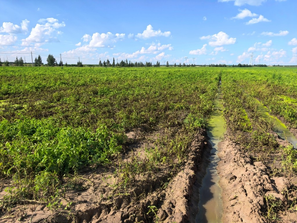 1764927399458135.jpg IMG_20250816_161241(1).jpg